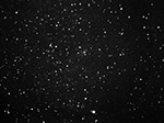 Comet Siding Spring