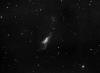 NGC520