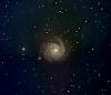 Arp41