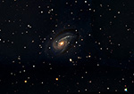 Arp78