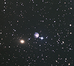 Arp25 and Arp114