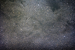 Barnard 253